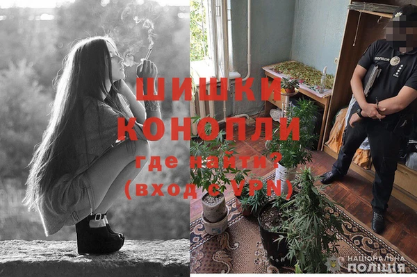 Альфа ПВП Вязьма