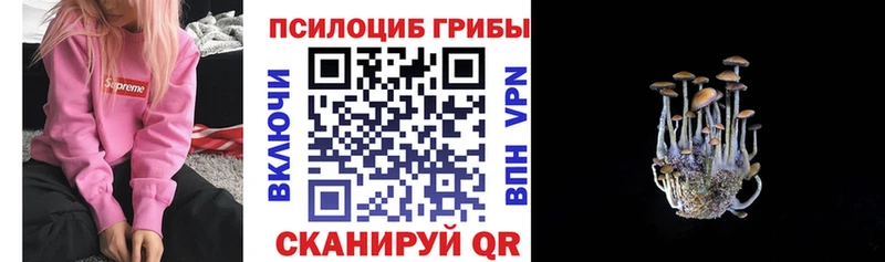 Купить закладки  Когалым  Галлюциногенные грибы Cubensis 